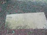 image of grave number 507506